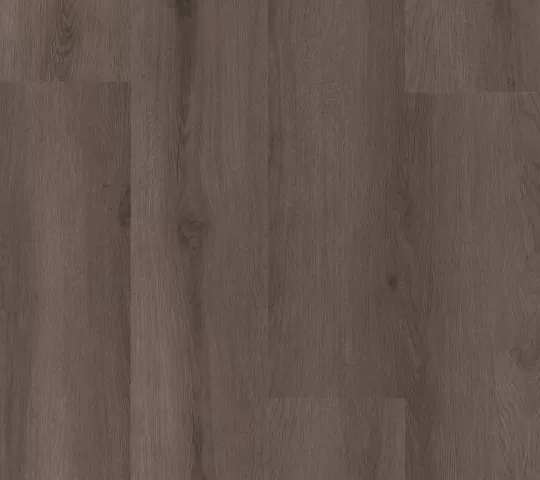 Solid Power Core - Sion